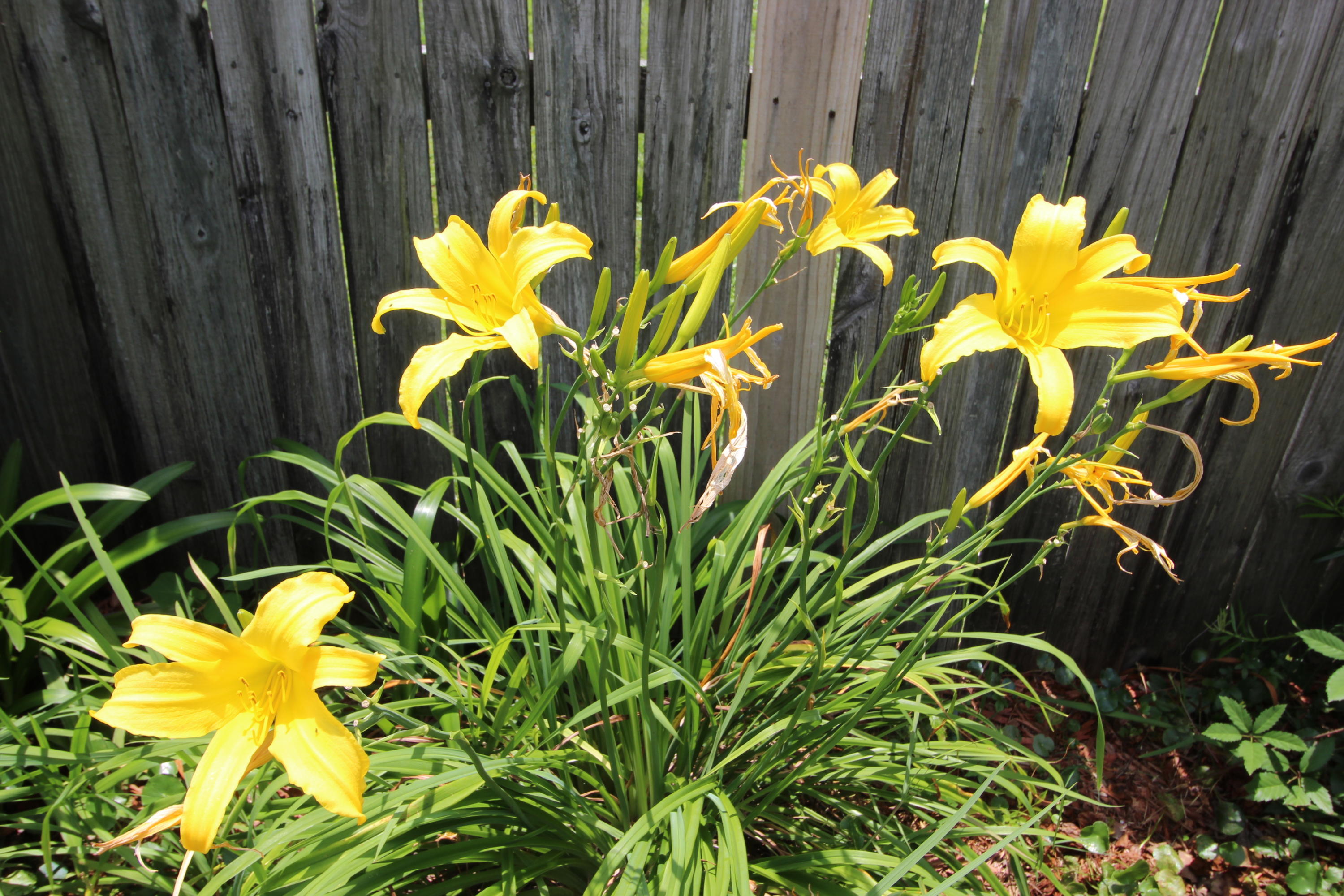 PARKER'S LANDING - Residential