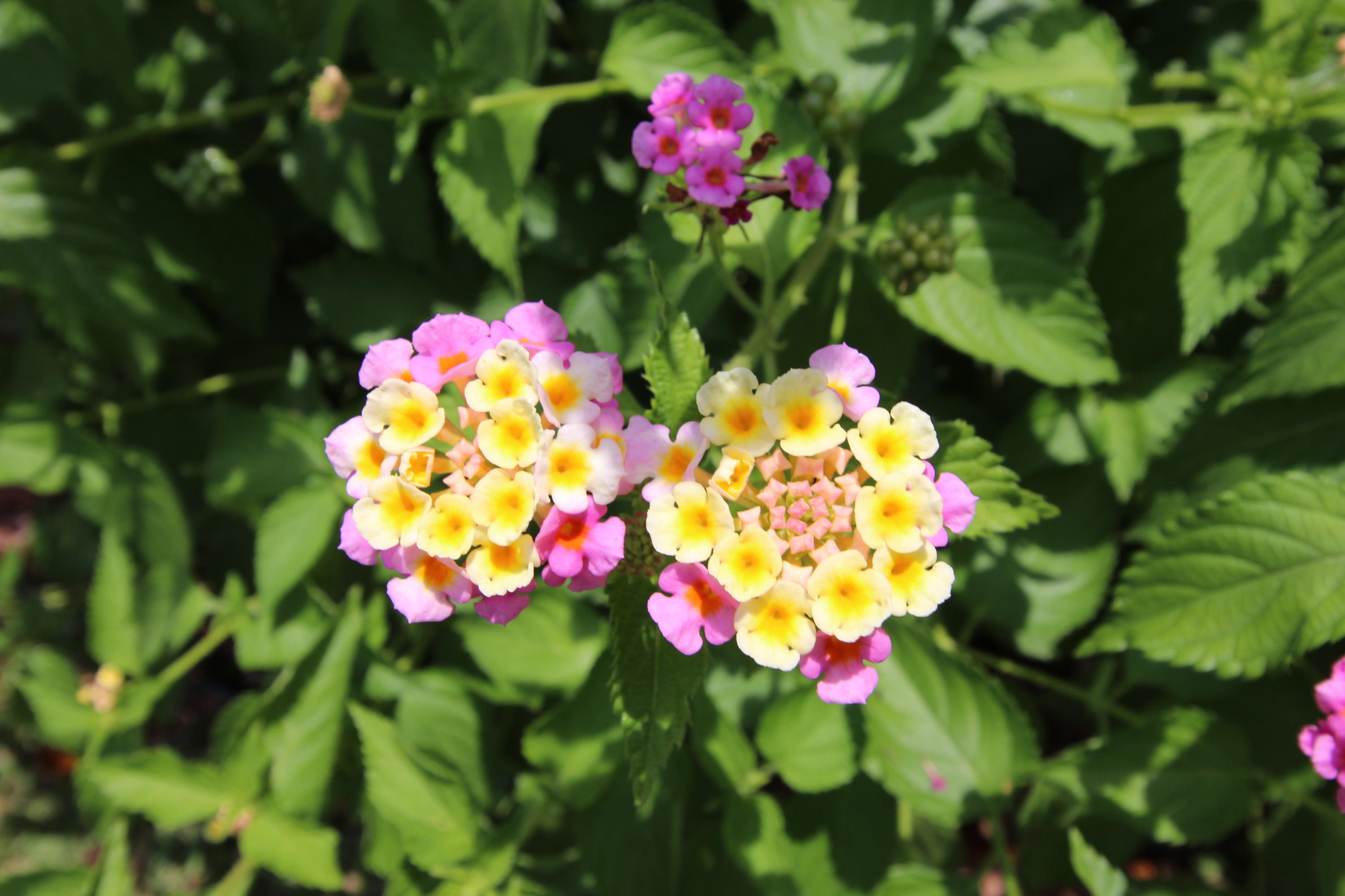 PARKER'S LANDING - Residential