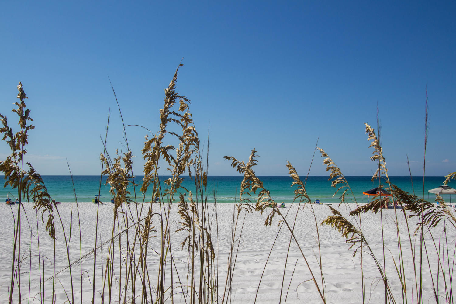 Emerald Walk on 30A, Formerly known as Flamingo Village - Residential