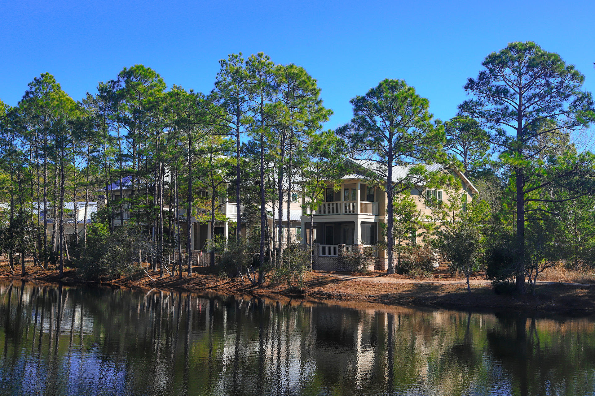 FOREST LAKES PH II - Residential