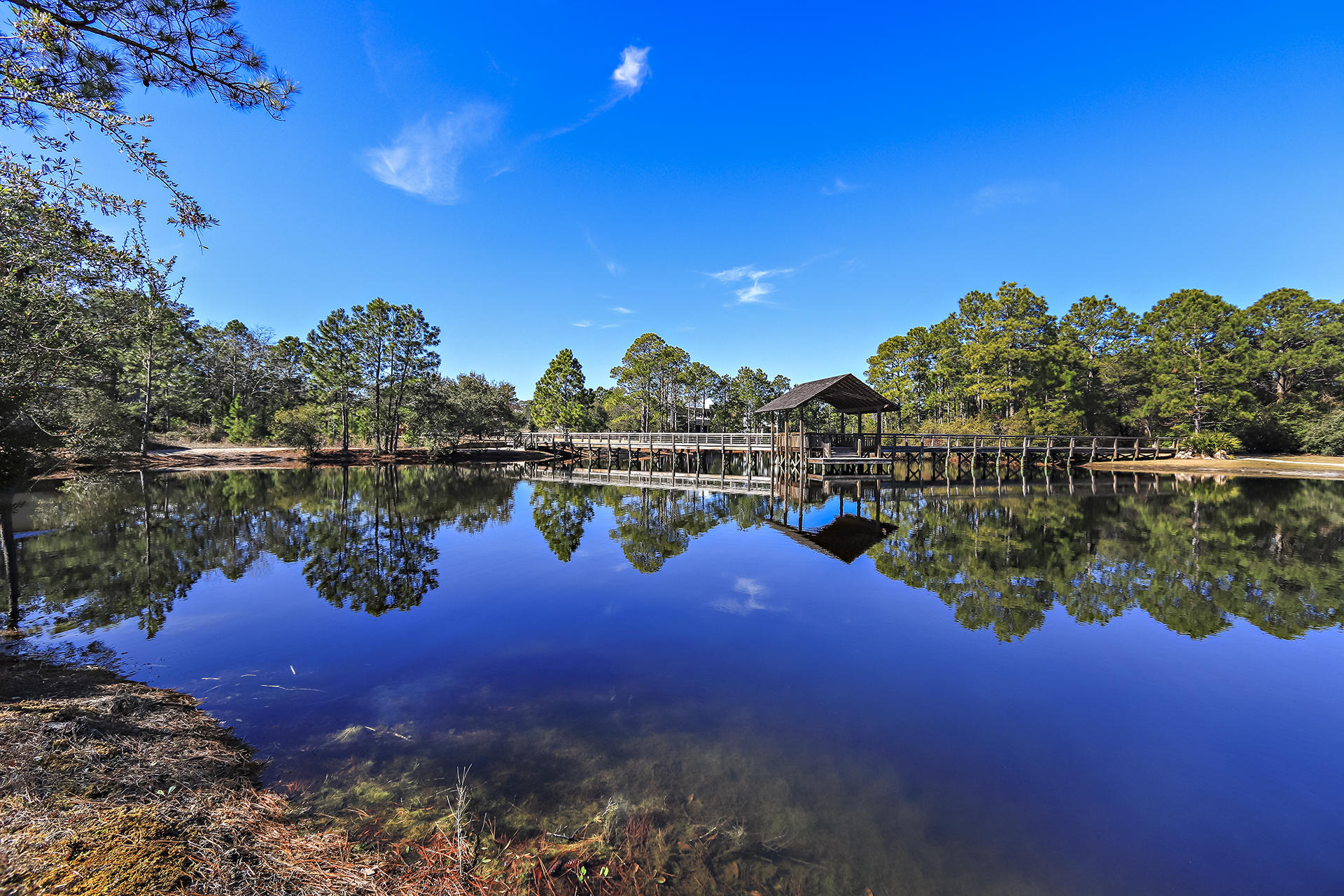 FOREST LAKES PH II - Residential