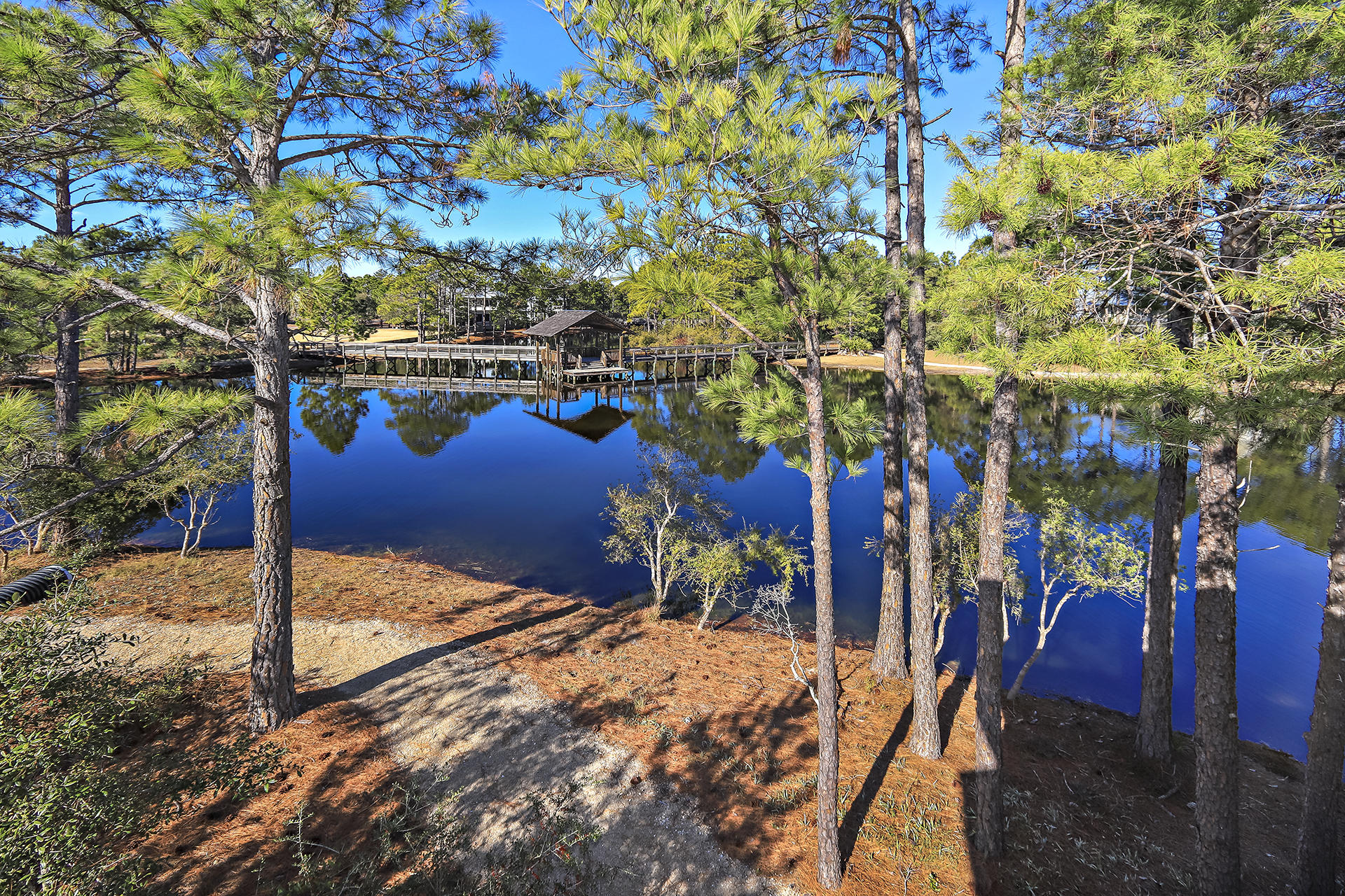 FOREST LAKES PH II - Residential