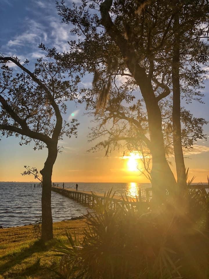 HAMMOCK BAY - FIREFLY - Residential