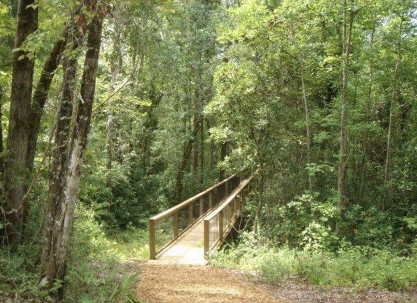 HAMMOCK BAY - FIREFLY - Residential