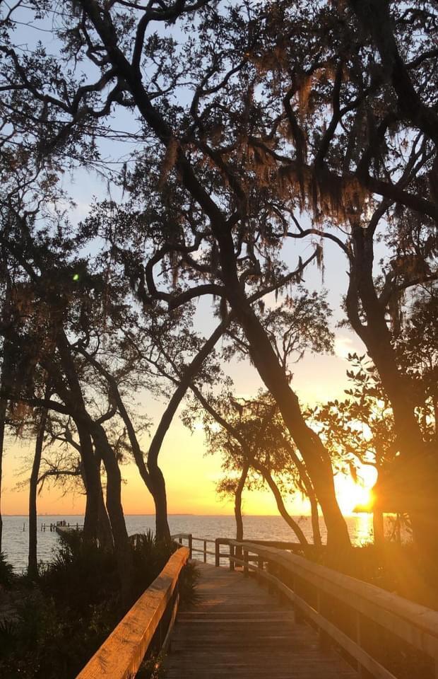 HAMMOCK BAY - FIREFLY - Residential