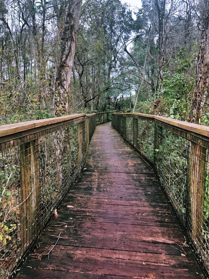 HAMMOCK BAY - FIREFLY - Residential