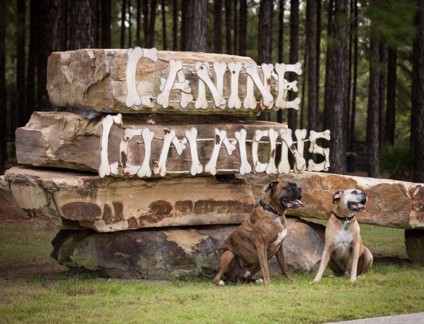 HAMMOCK BAY - FIREFLY - Residential