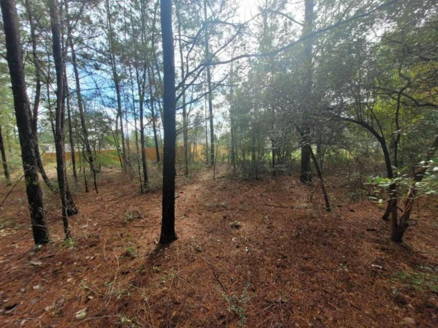 Looking for Seclusion! Beautifully wood lot approx .23 acres between DeFuniak Springs FL and Mossyhead.Mobile homes allowed. No HOA. Minimal Restrictions. There are no existing utilities. Well/Power/Septic required. Power nearby.Power is nearby.  The property is Flood Zone X. Per the Walton GIS mapping, the property does not appear to have wetlands.Easy access to the I-10 & CR 285 south making it a great location for work no matter what direction you need to go! You will be approx. 30-45 mins to most workplaces as well as the beautiful white sandy beaches of Florida famous Emerald Gulf Coast and Crab Island.Information contained within this listing is deemed to be accurate but is not guaranteed.All dimensions shown are approximately only per CRS Property Data Report.