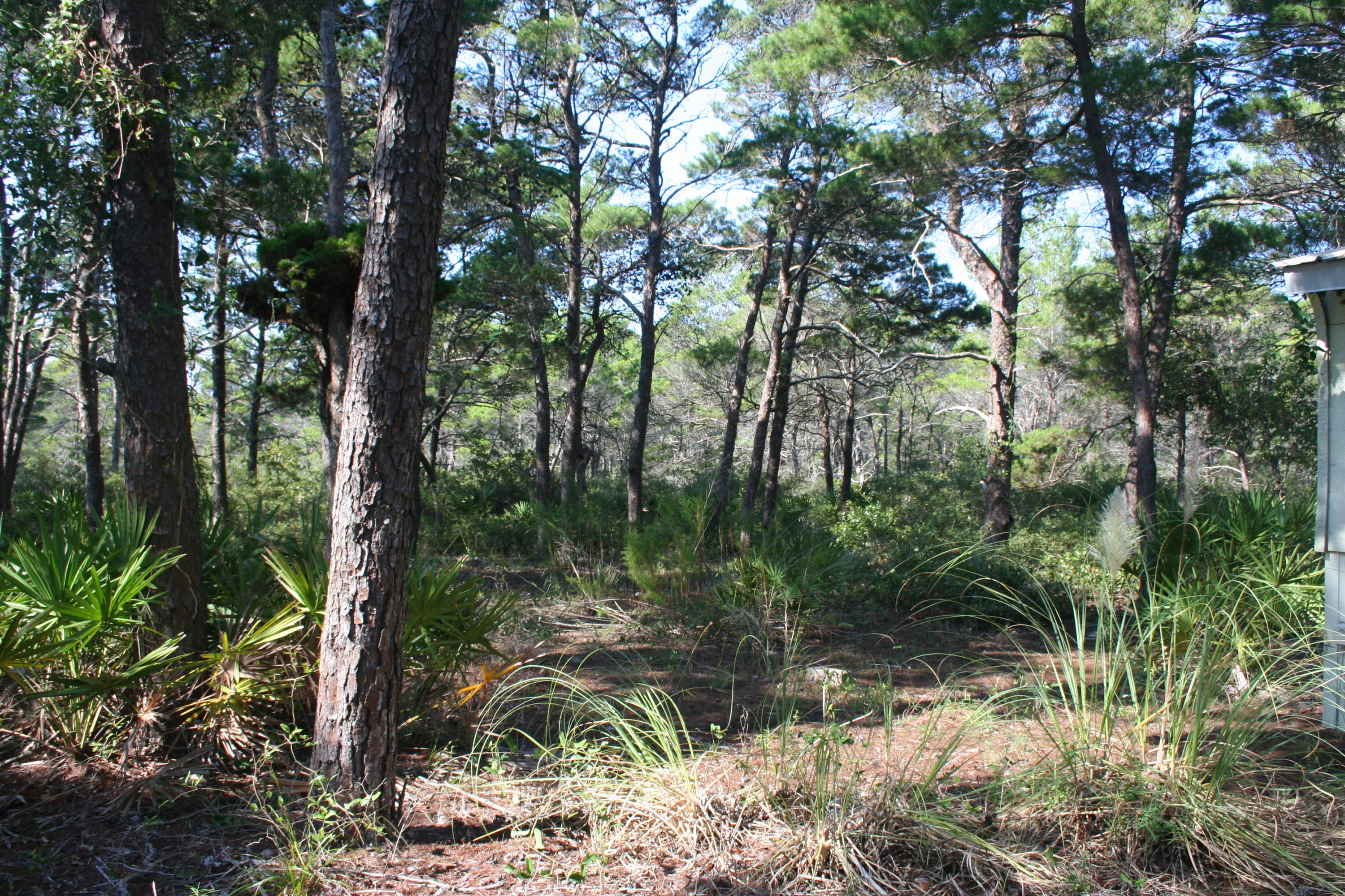 NO RECORDED SUBDIVISION - Land