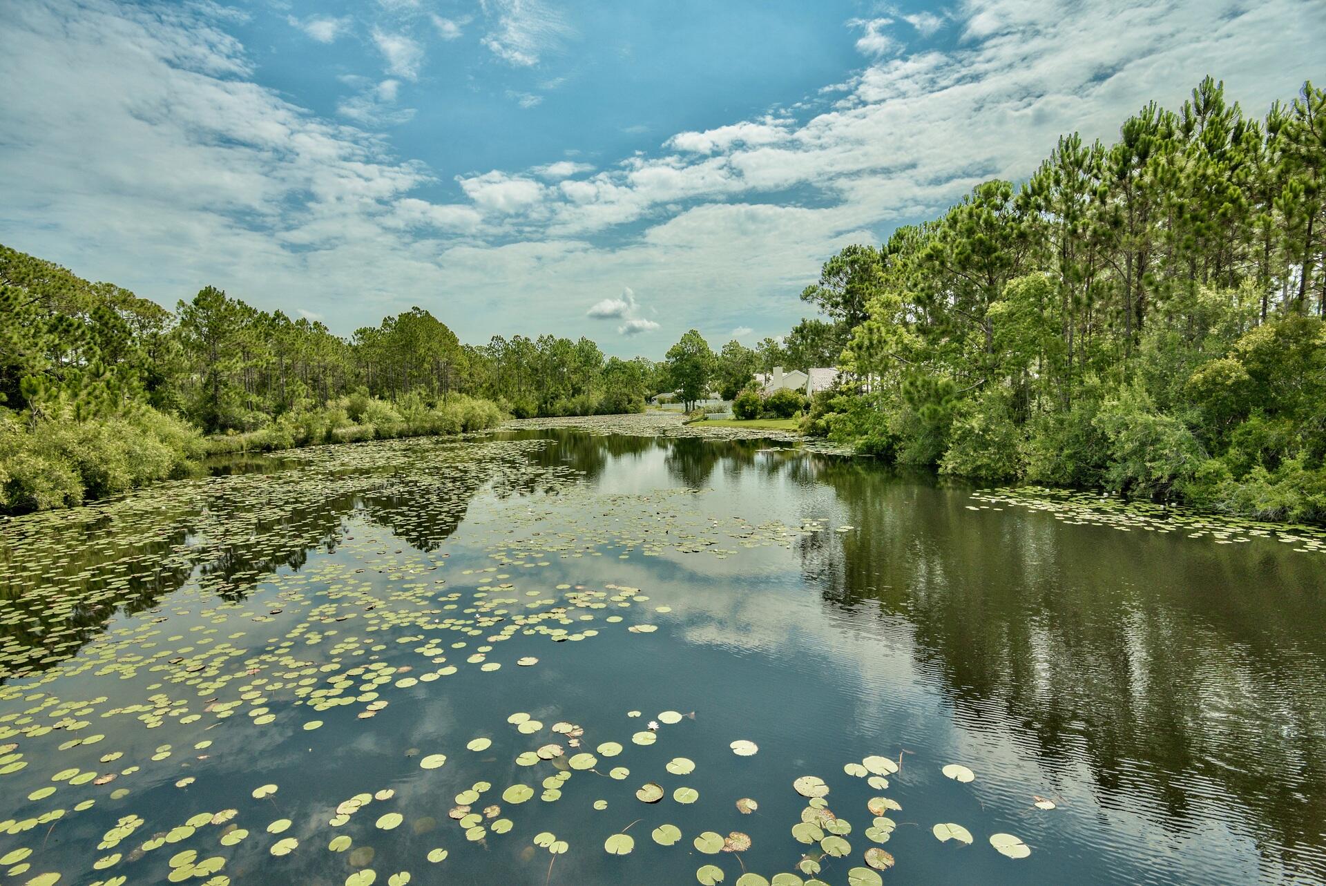 SEAGROVE HIGHLANDS - Residential