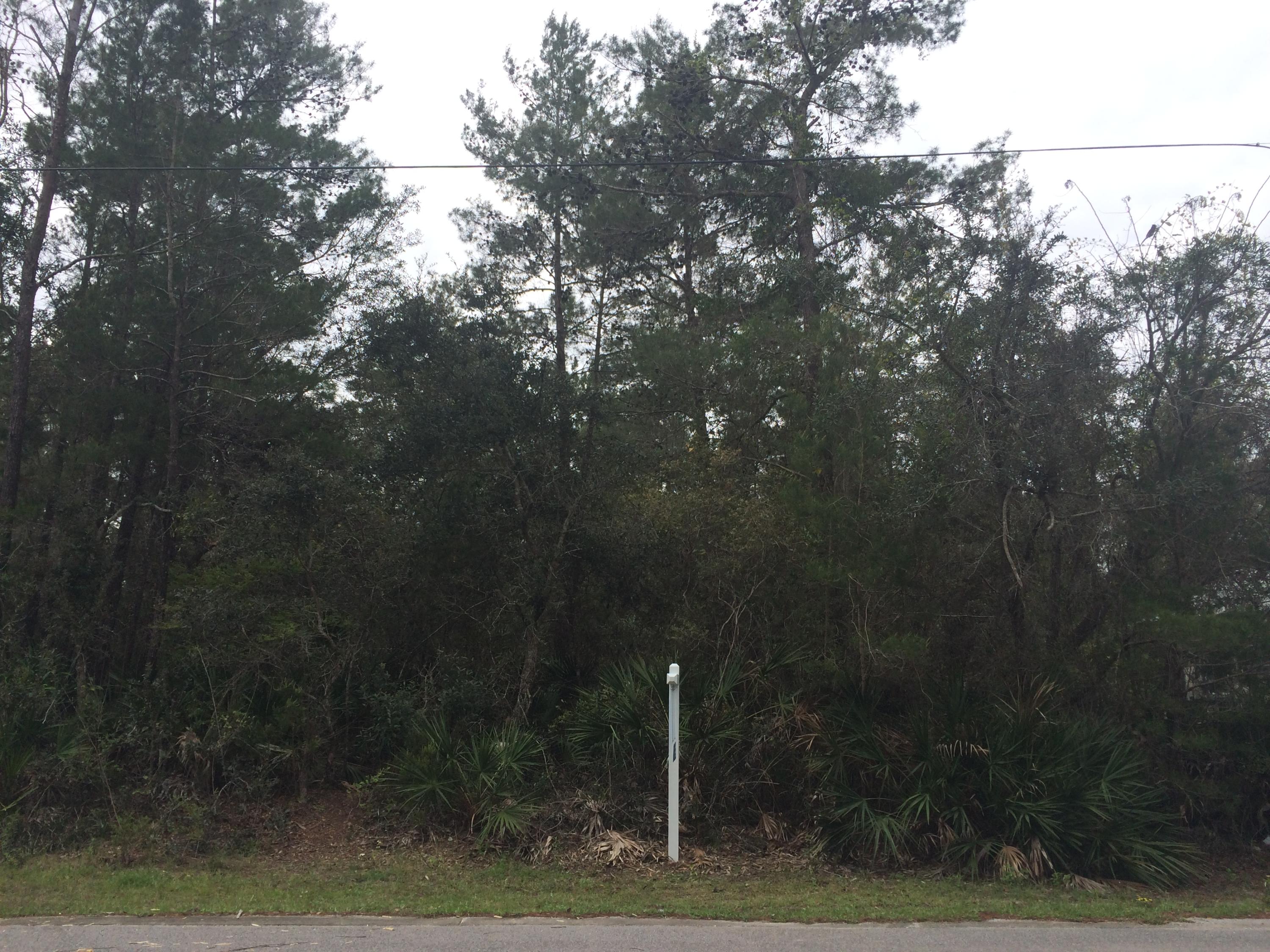 MAGNOLIA BEACH - Land