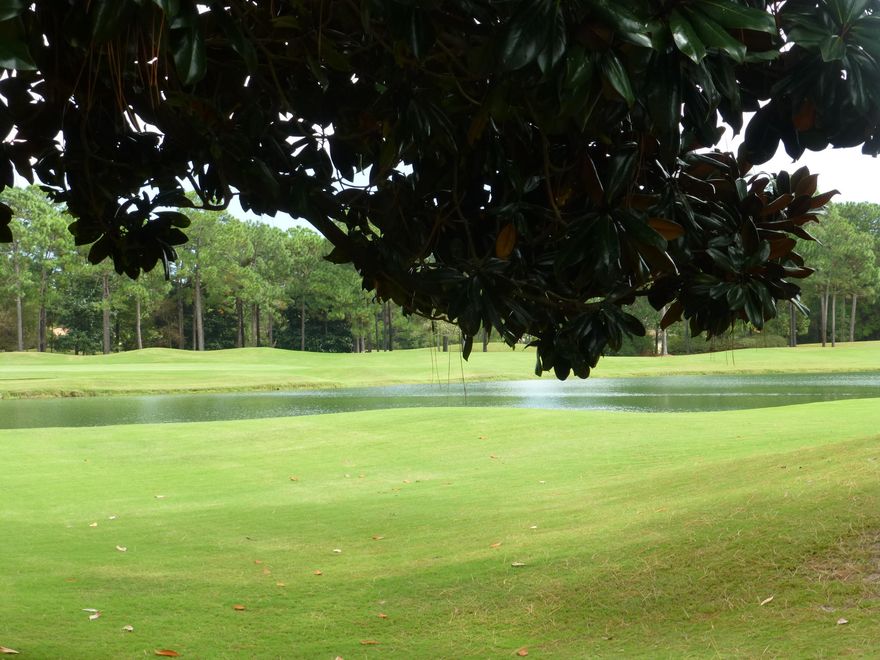 Choice estate size building lot in exclusive Burnt Pine a double gated subdivision in exclusive Burnt Pine. From back of lot looking east is a beautiful view of the #9 fairway and lake. On the other side of the lake is the #1 fairway. Looking even further east and through the trees is the 10th fairway and tee box. These views of the Burnt Pine golf course are extraordinary.Looking north you will see gorgeous views of #8 green and fairway. And looking south you will see the lake, the #9 green, the #1 tee box and fairway as well as the Burnt Pine Club House.There are only a few Burnt Pine home sites remaining and this one is the best.Nice park like median green space on Merion at this lot location.