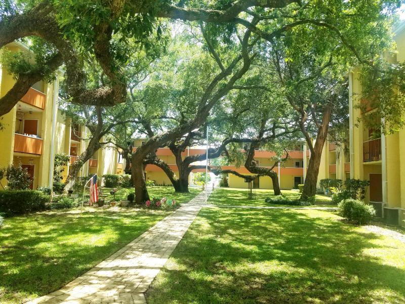 CEDARS CONDO - Residential Lease