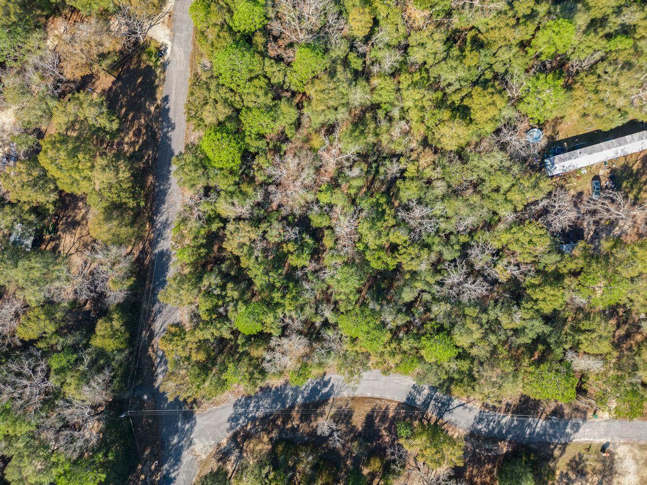 LAKEWOOD PLANTATIONS - Land