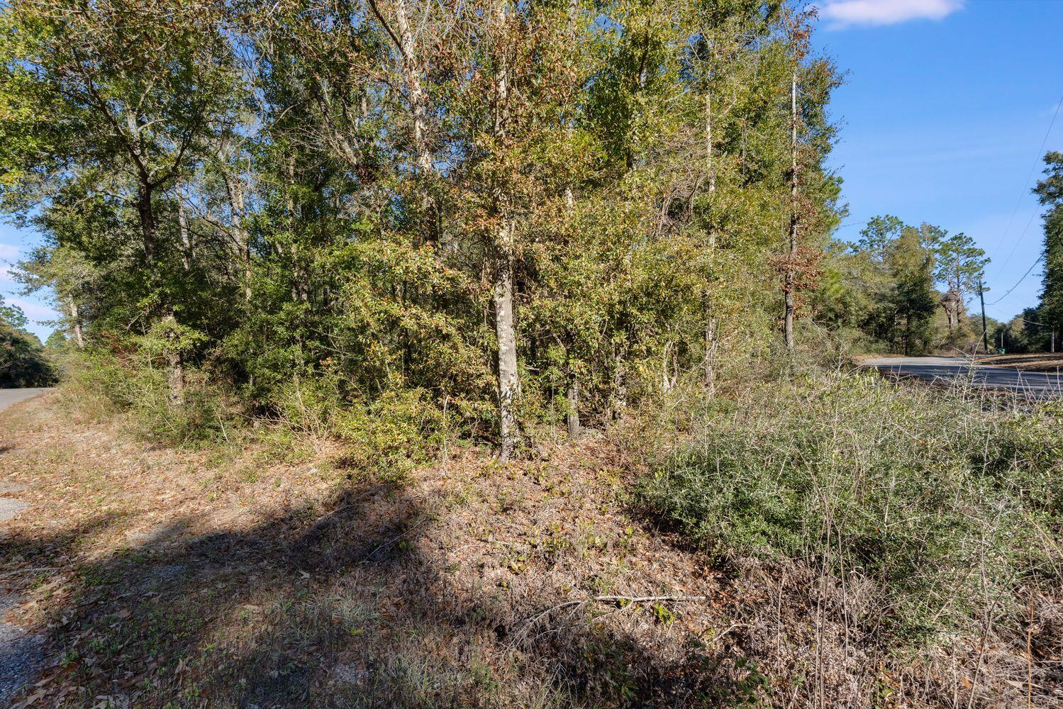 LAKEWOOD PLANTATIONS - Land