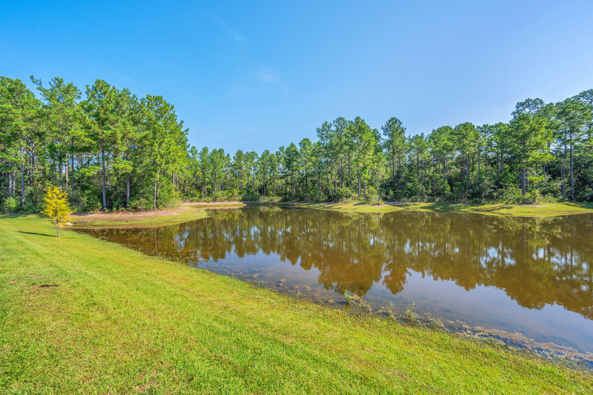 Hammock Oaks Estates - Residential