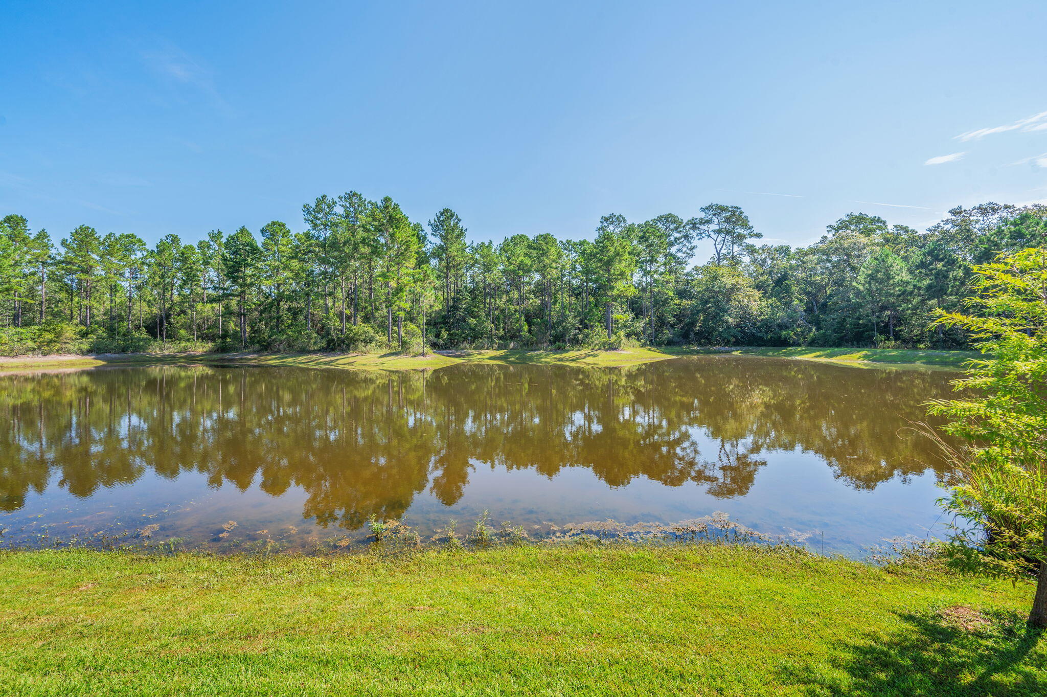 Hammock Oaks Estates - Residential