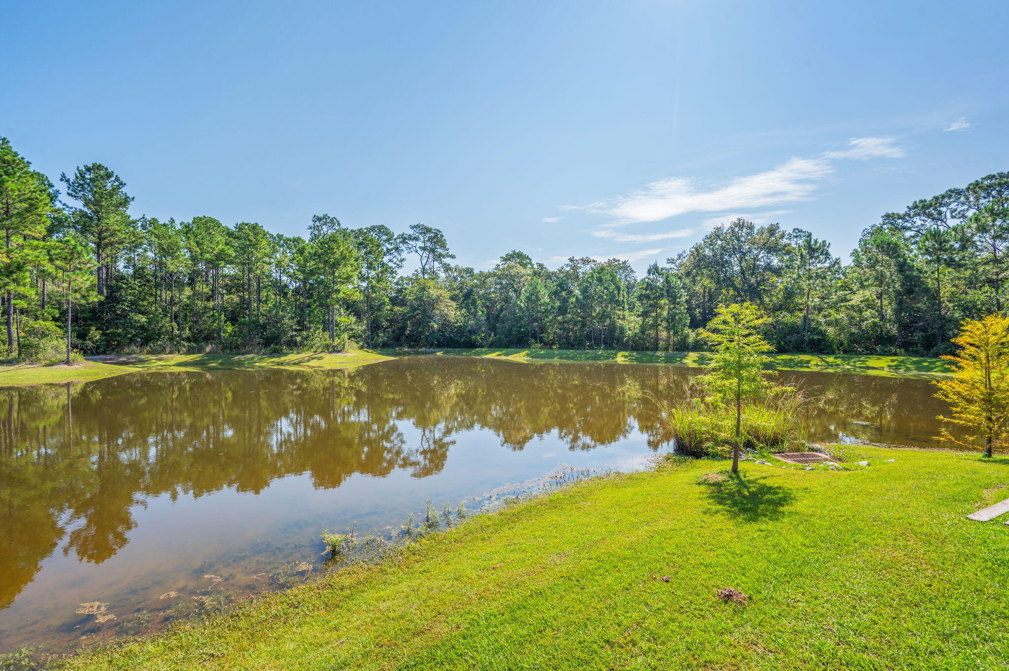 Hammock Oaks Estates - Residential