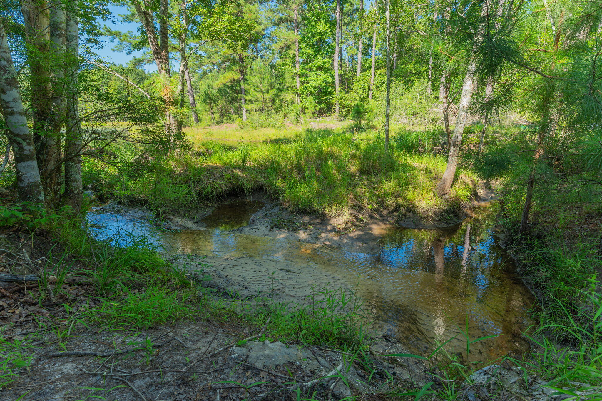 139 Acres Yorkey Road
