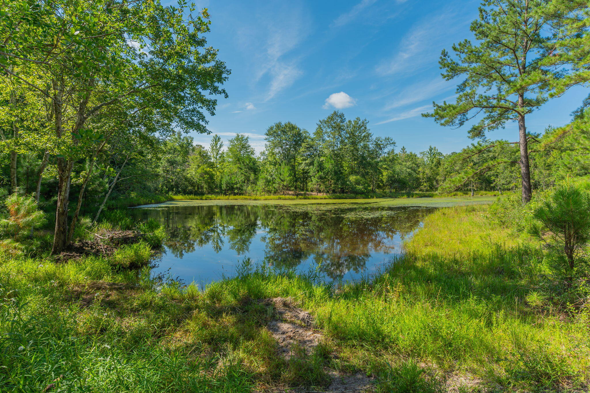 139 Acres Yorkey Road