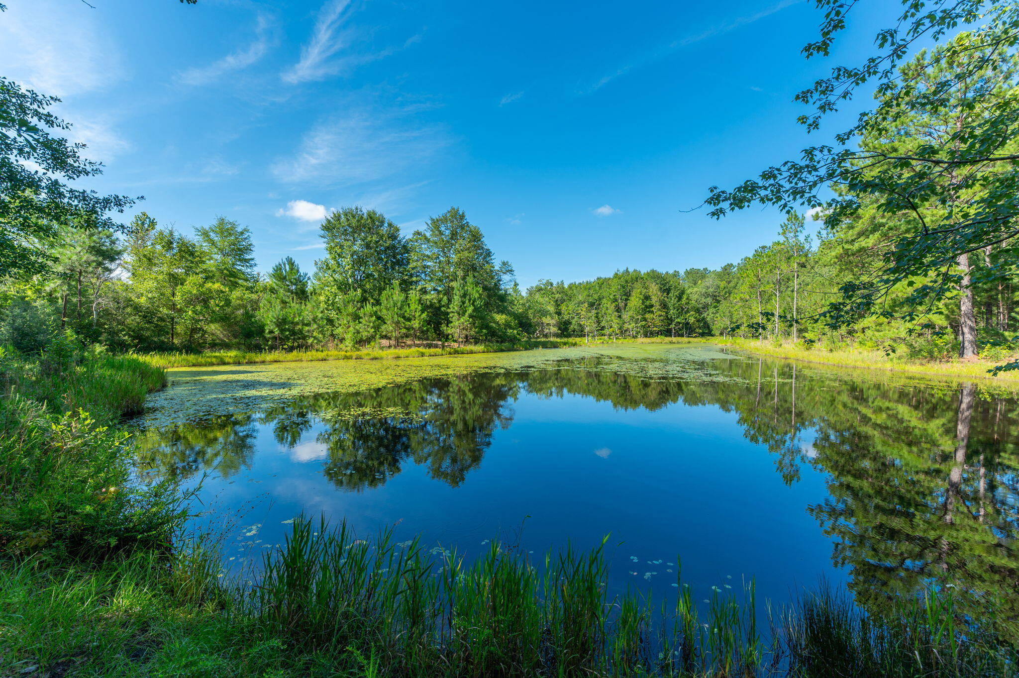 139 Acres Yorkey Road