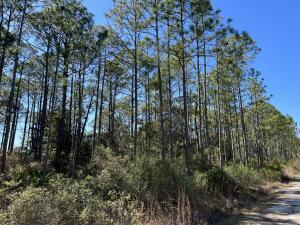 Now is your chance to build your dream home in Santa Rosa Beach! Close to a public boat launch and Kellogg park. convenient to both the Choctawhatchee Bay and the beautiful white sand beaches of the Gulf Coast. No HOA.
