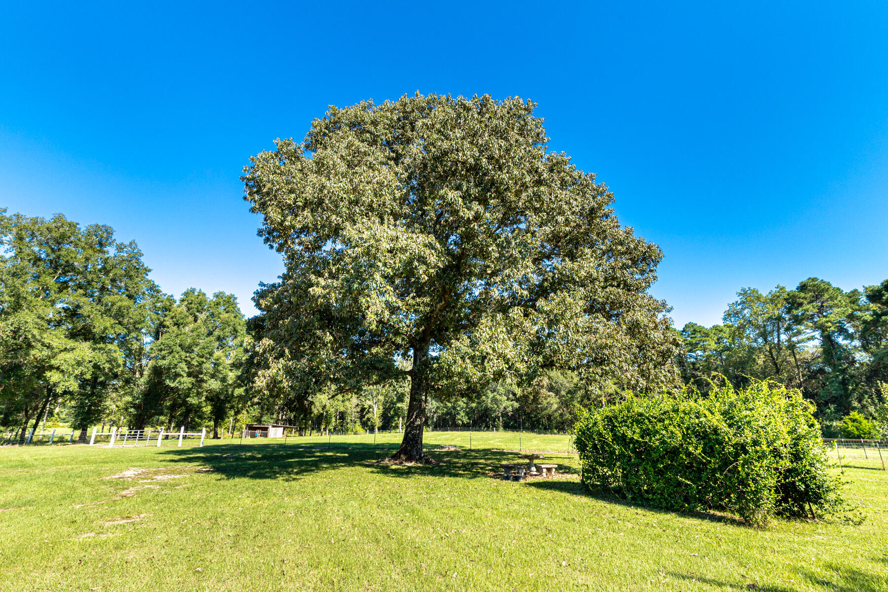 Brubaker Farm - Residential