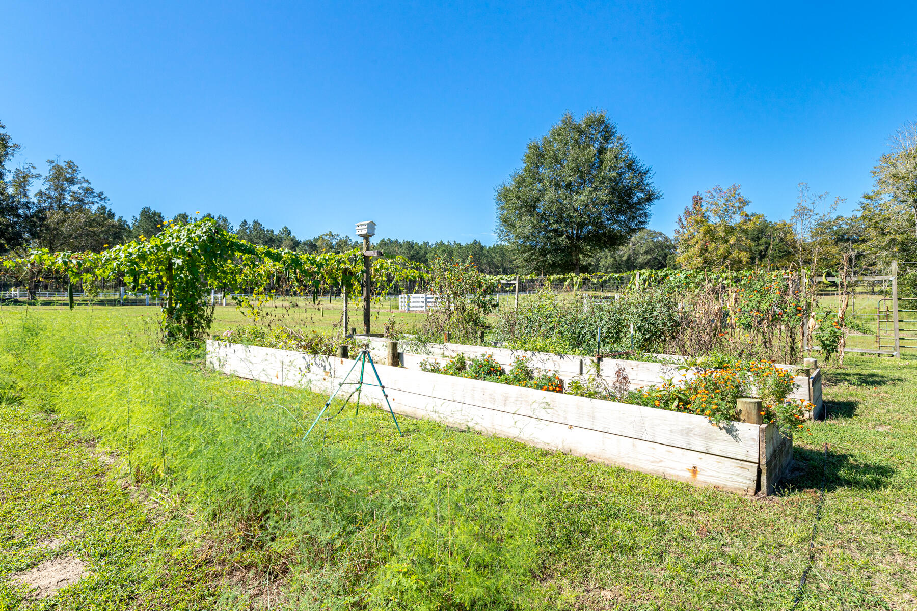 Brubaker Farm - Residential