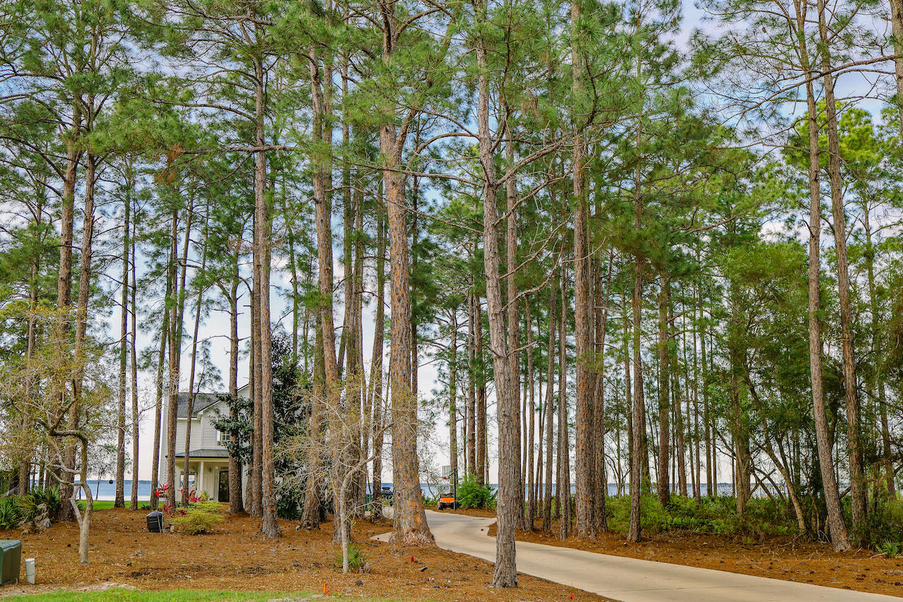 BAY PINE SHORES - Land