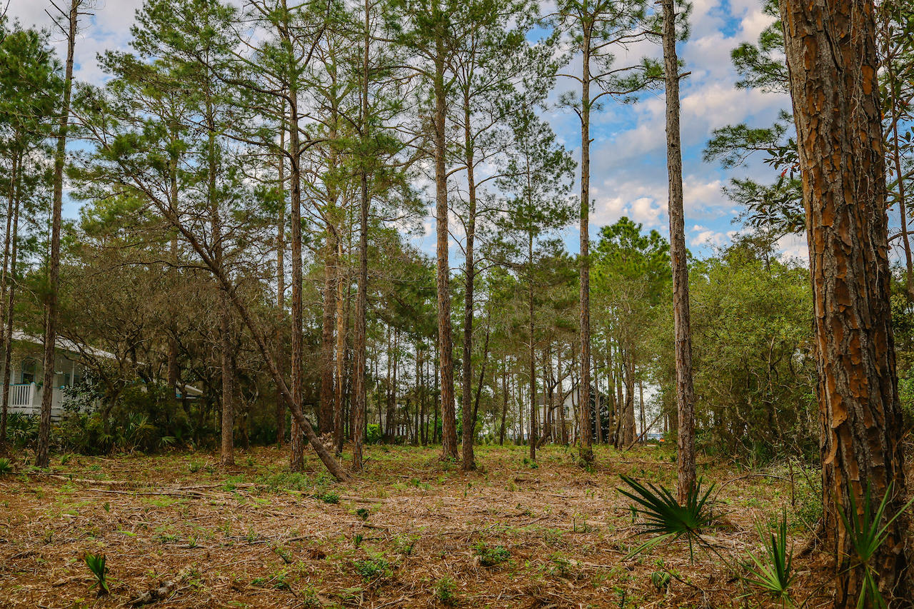 BAY PINE SHORES - Land