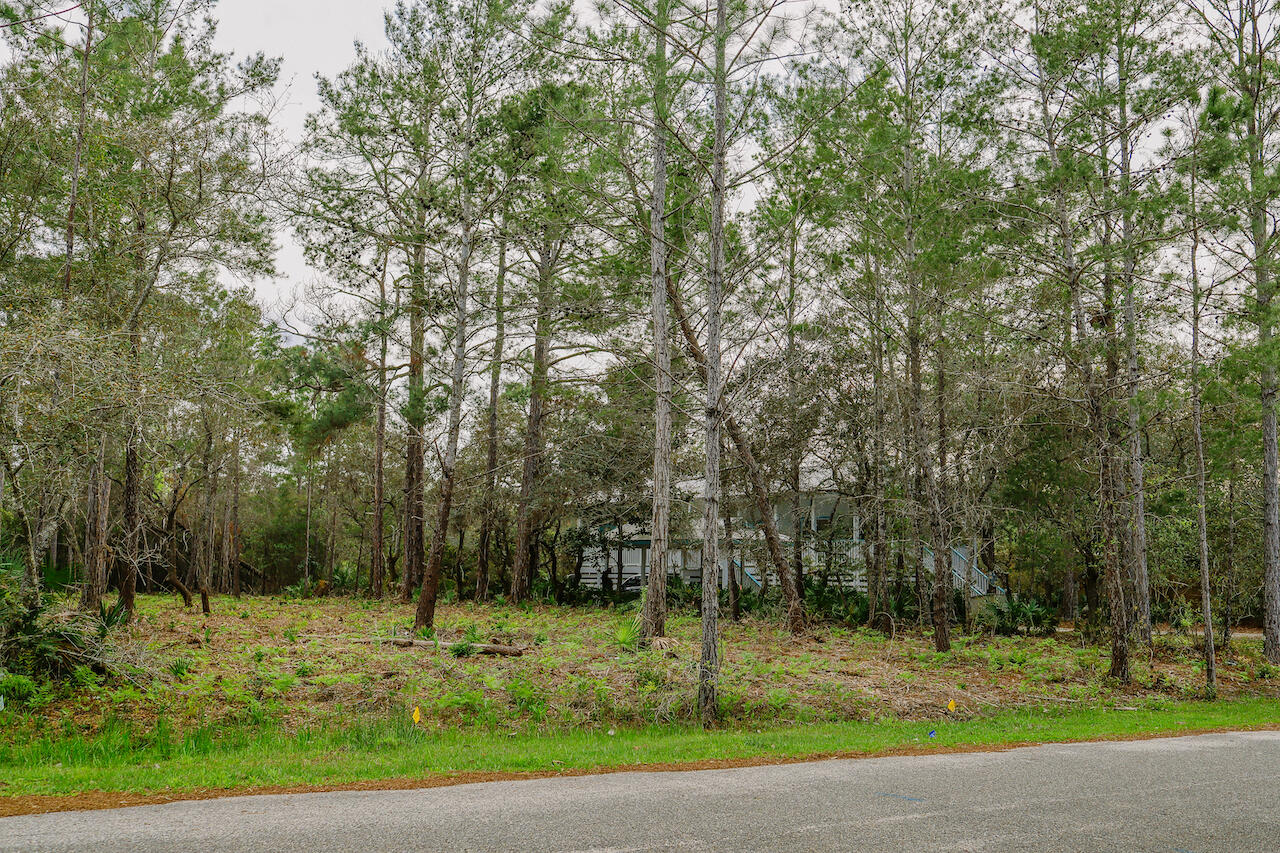 BAY PINE SHORES - Land