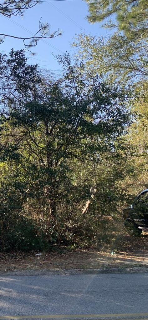 SOUTH POINTE ESTATES - Land