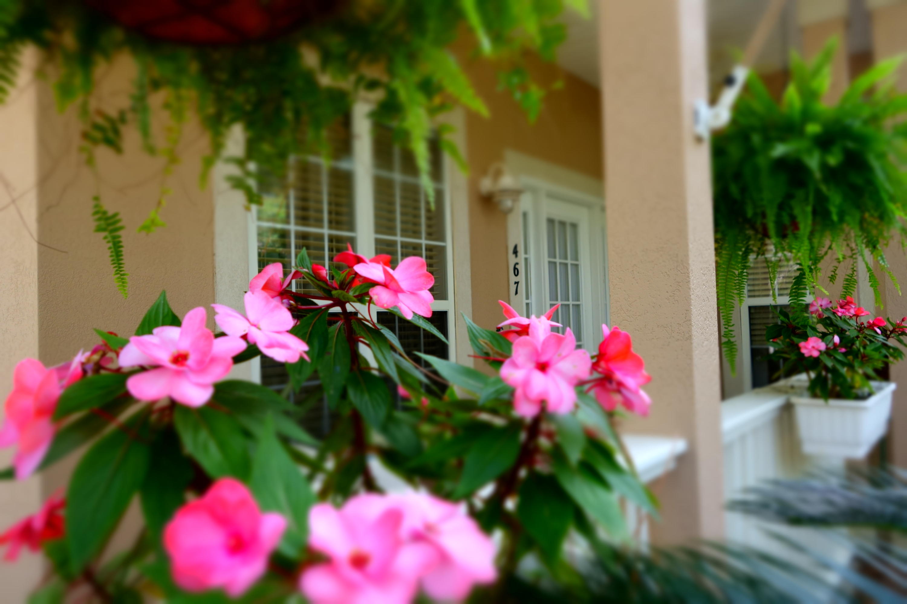 SUGARWOOD - Residential