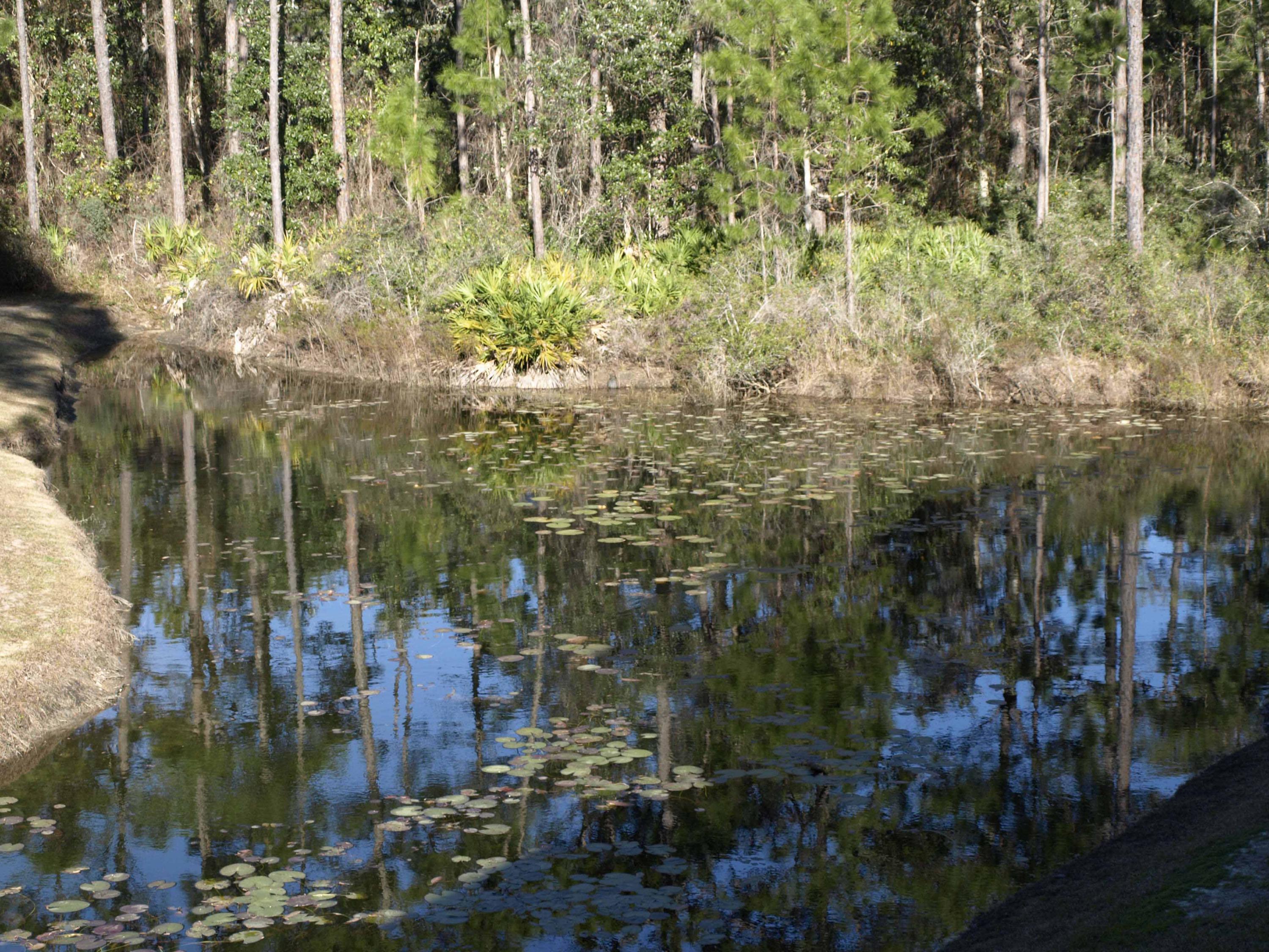 POINTE OF VIEW CONDO - Residential