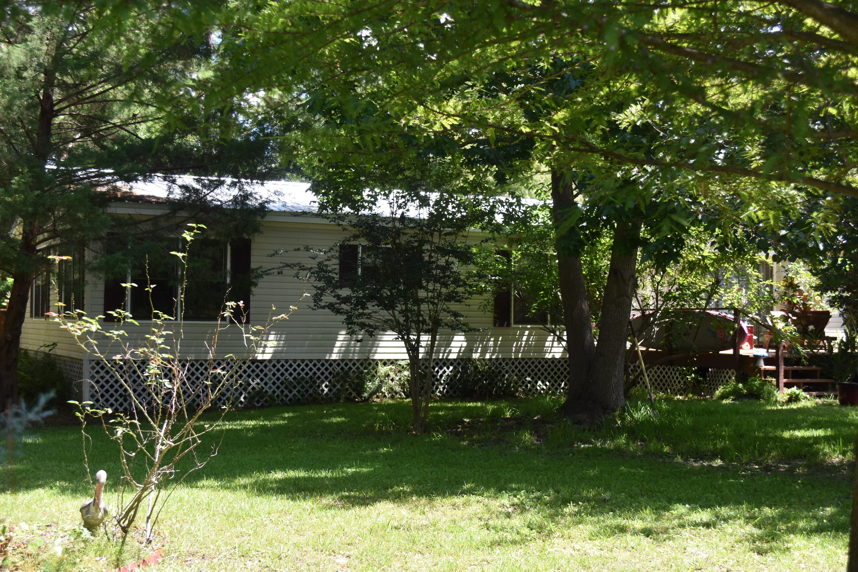 None - Residential Lease