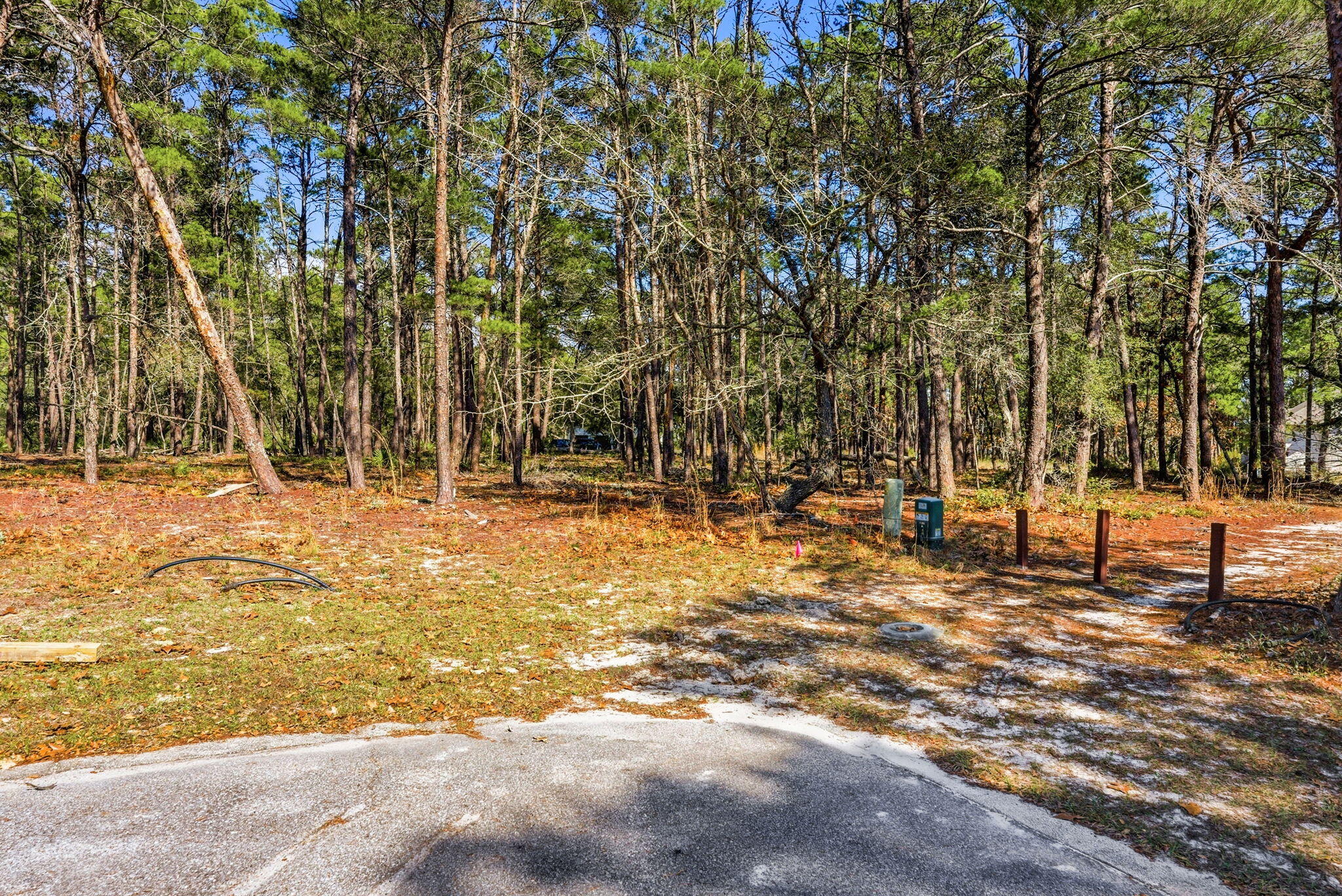 1620 Sharks Tooth Trail