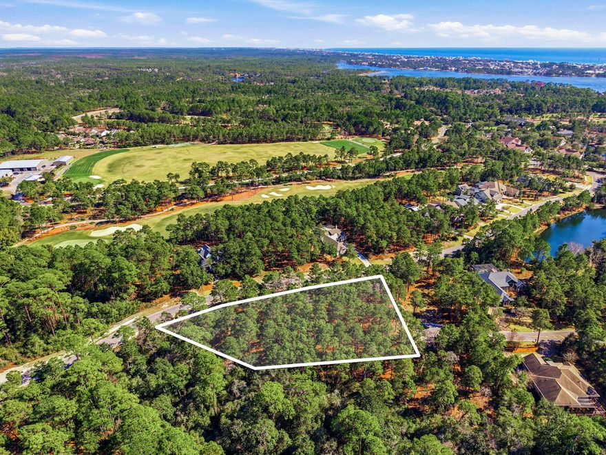 Build your custom dream home in one of the most sought-after gated communities along the Emerald Coast. This homesite is perfectly positioned within Wild Heron, offering the opportunity to design and build at your pace with the builder of your choice.Located just steps from the renowned Sharks Tooth Golf Club and surrounded by mature landscaping and natural beauty, this lot provides the ideal setting for a primary residence or second home. Enjoy the lifestyle Wild Heron is known for, lake access to Lake Powell, resort-style pool, fitness center, tennis courts, fire pit, and miles of scenic walking trails.Opportunities to secure land in this established golf and waterfront community are becoming increasingly limited. Now is your chance to create something truly special in a neighborhood that blends privacy, luxury, and coastal charm.
For more details on building guidelines, lot dimensions, or community amenities, reach out today