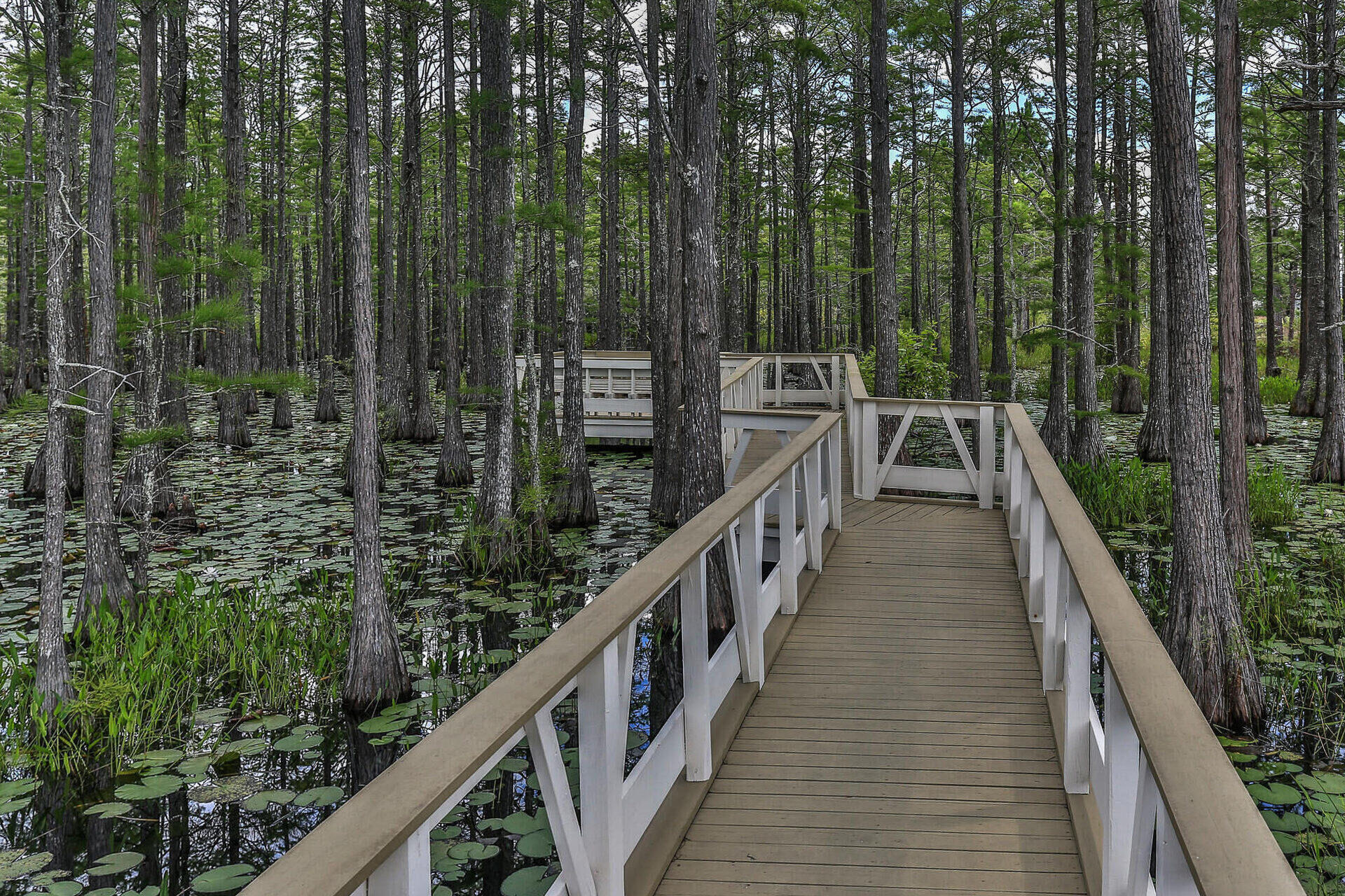 CYPRESS DUNES - Land