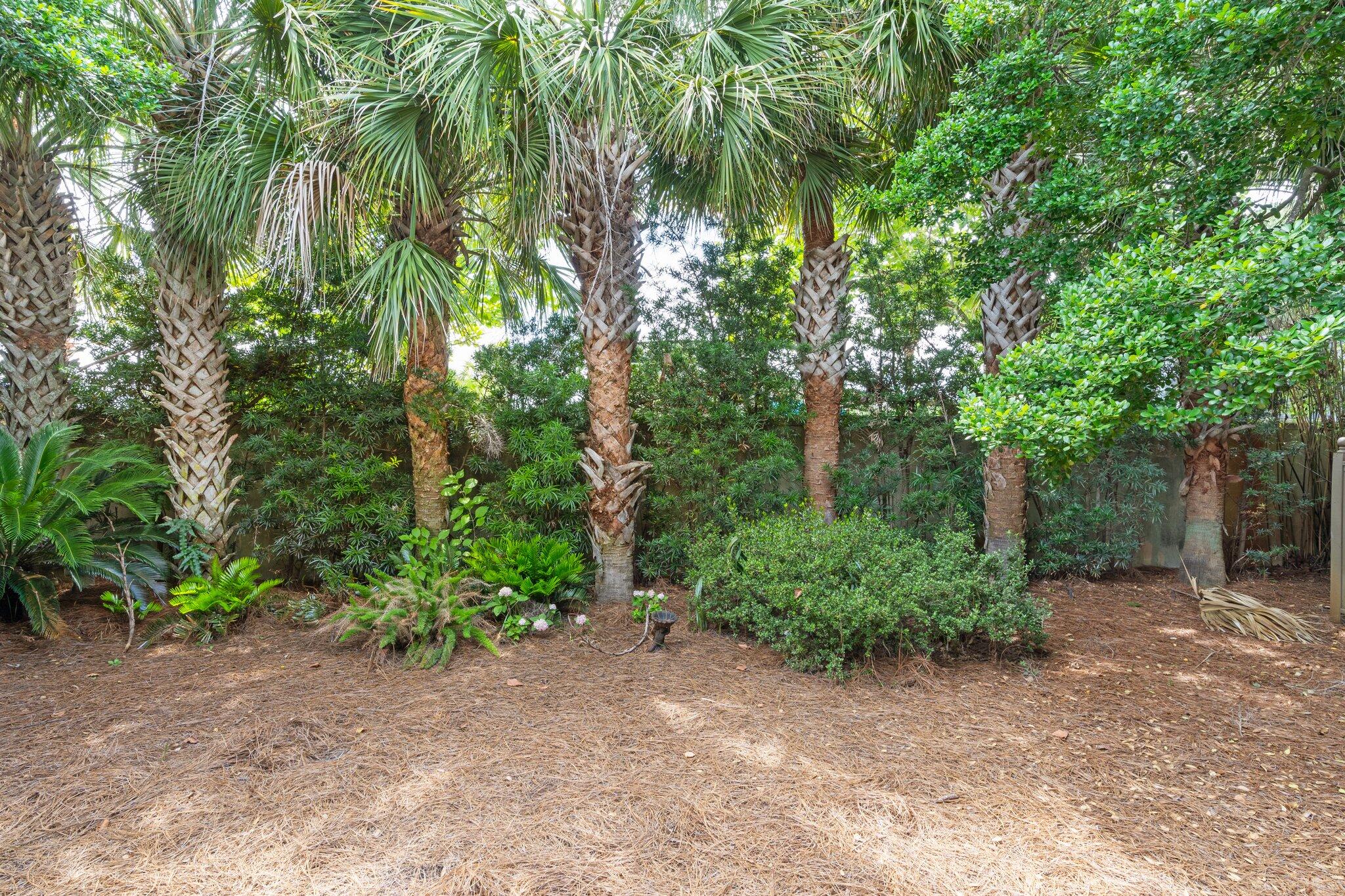 CARIBE WEST - Residential