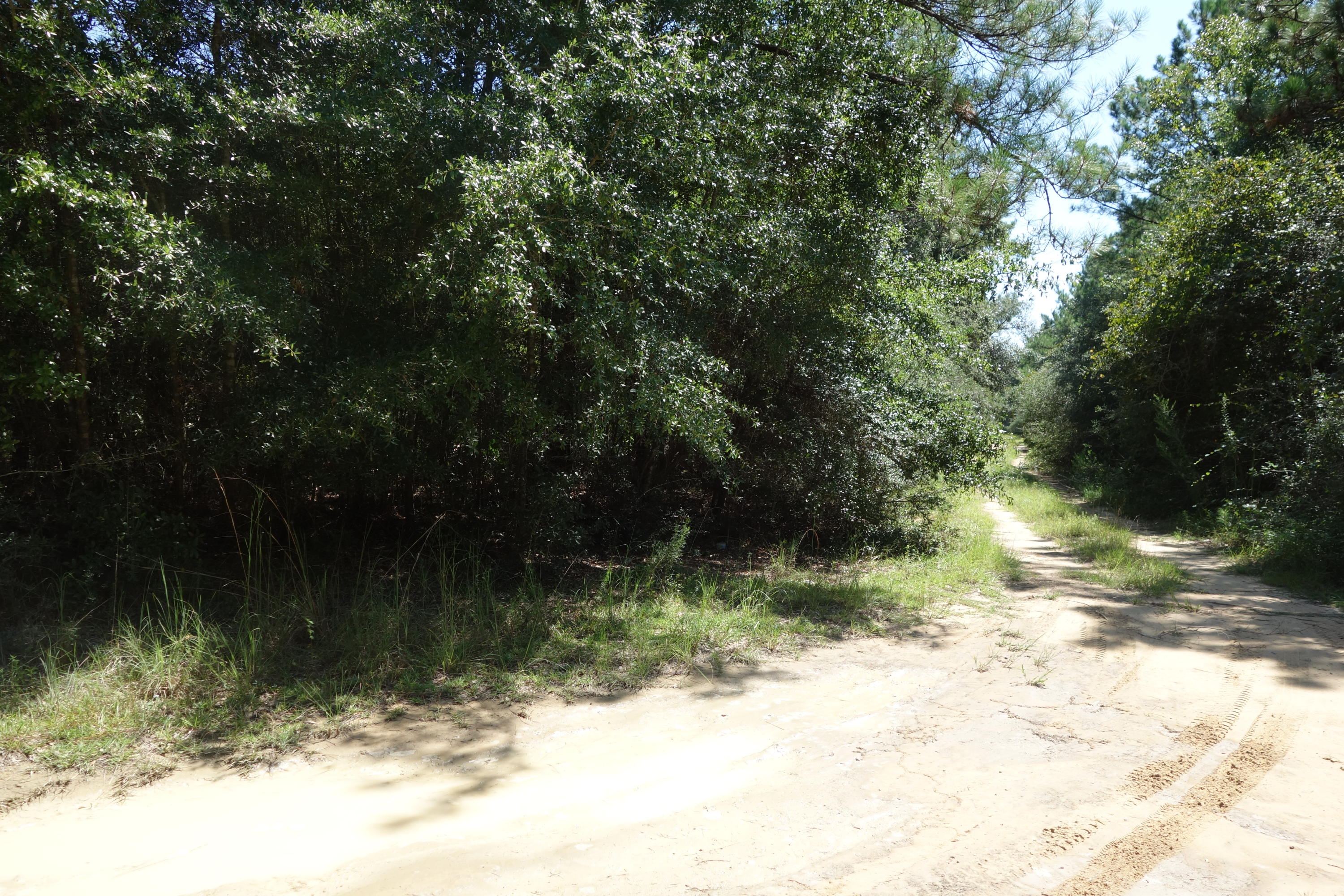 OAKWOOD HILLS UNIT 5 - Land