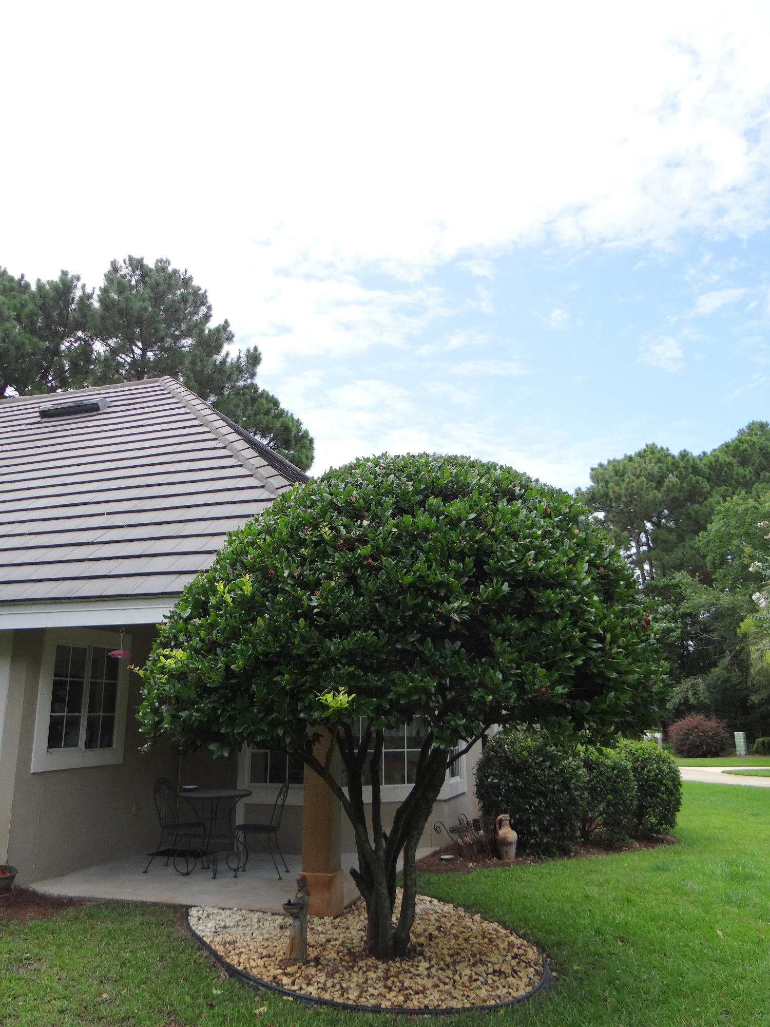 EMERALD BAY PH 1A - Residential