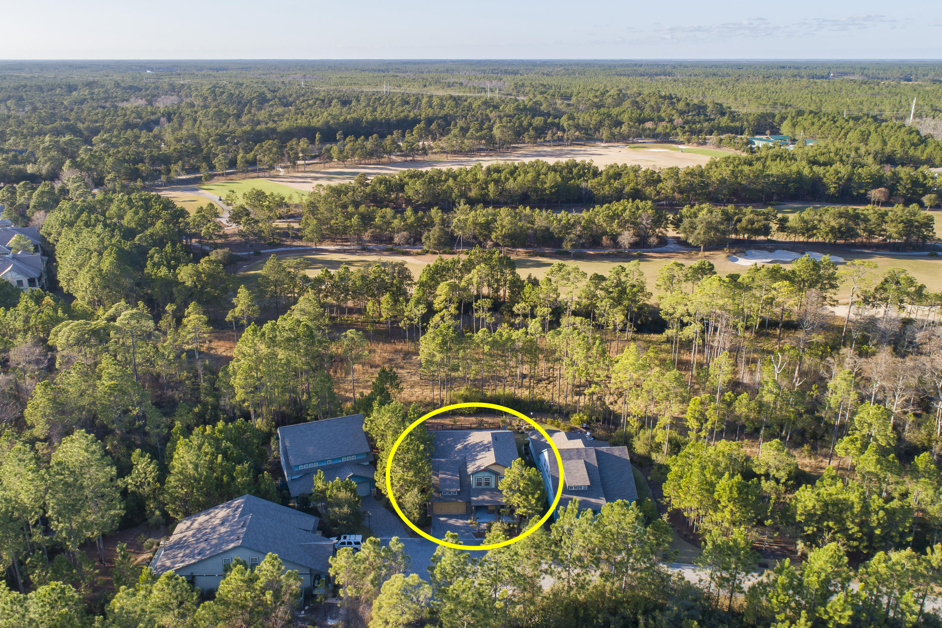 Wild Heron - Residential