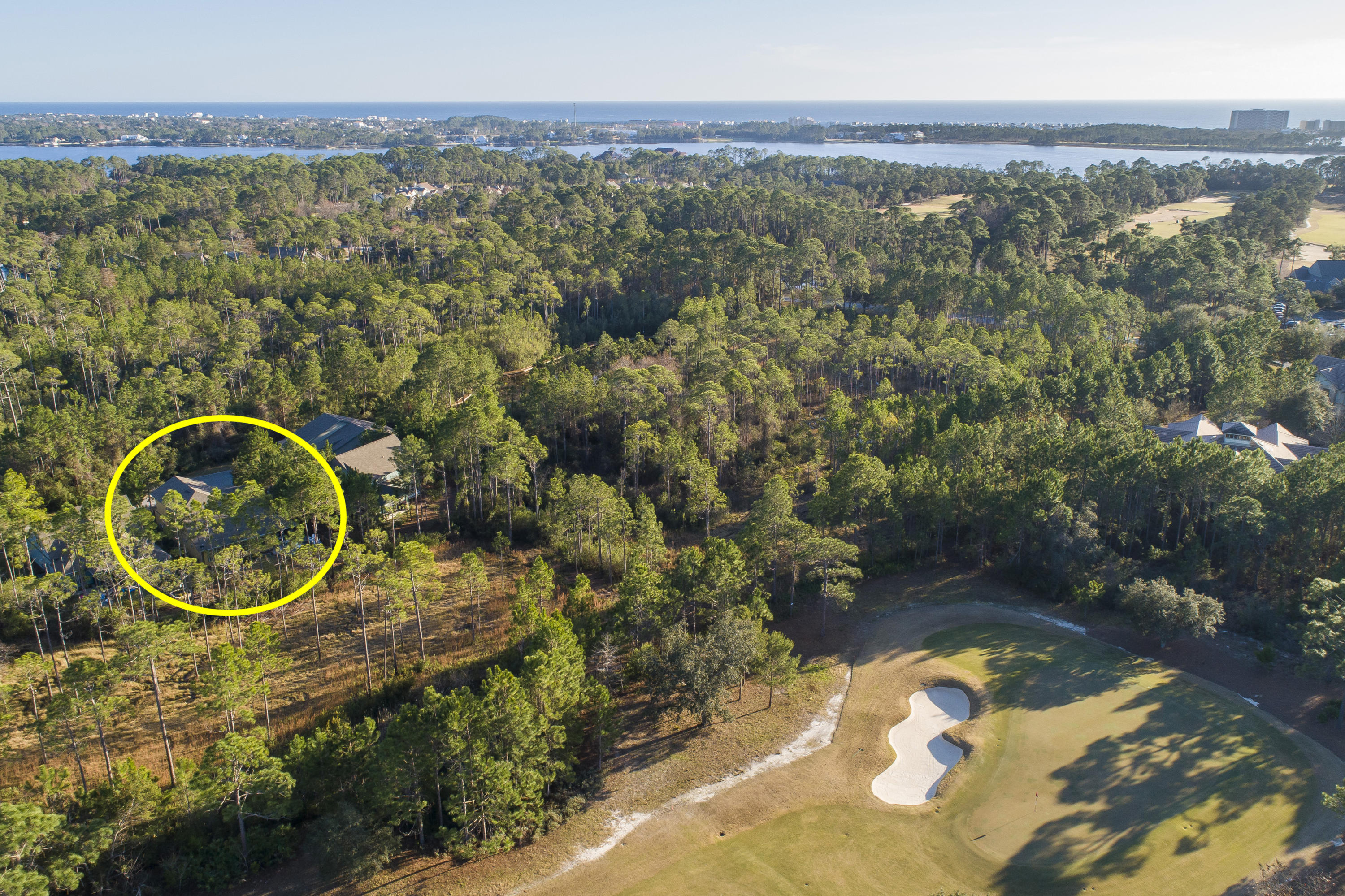 Wild Heron - Residential