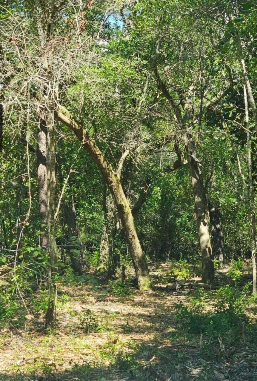 Beautiful wooded lots adjacent to Eglin Air Force Base Reservation for added privacy.  These lots are located in the heart of Choctaw Beach in walking distance to the Choctawhatchee Bay.  No restrictions. Build now or later but don't wait!