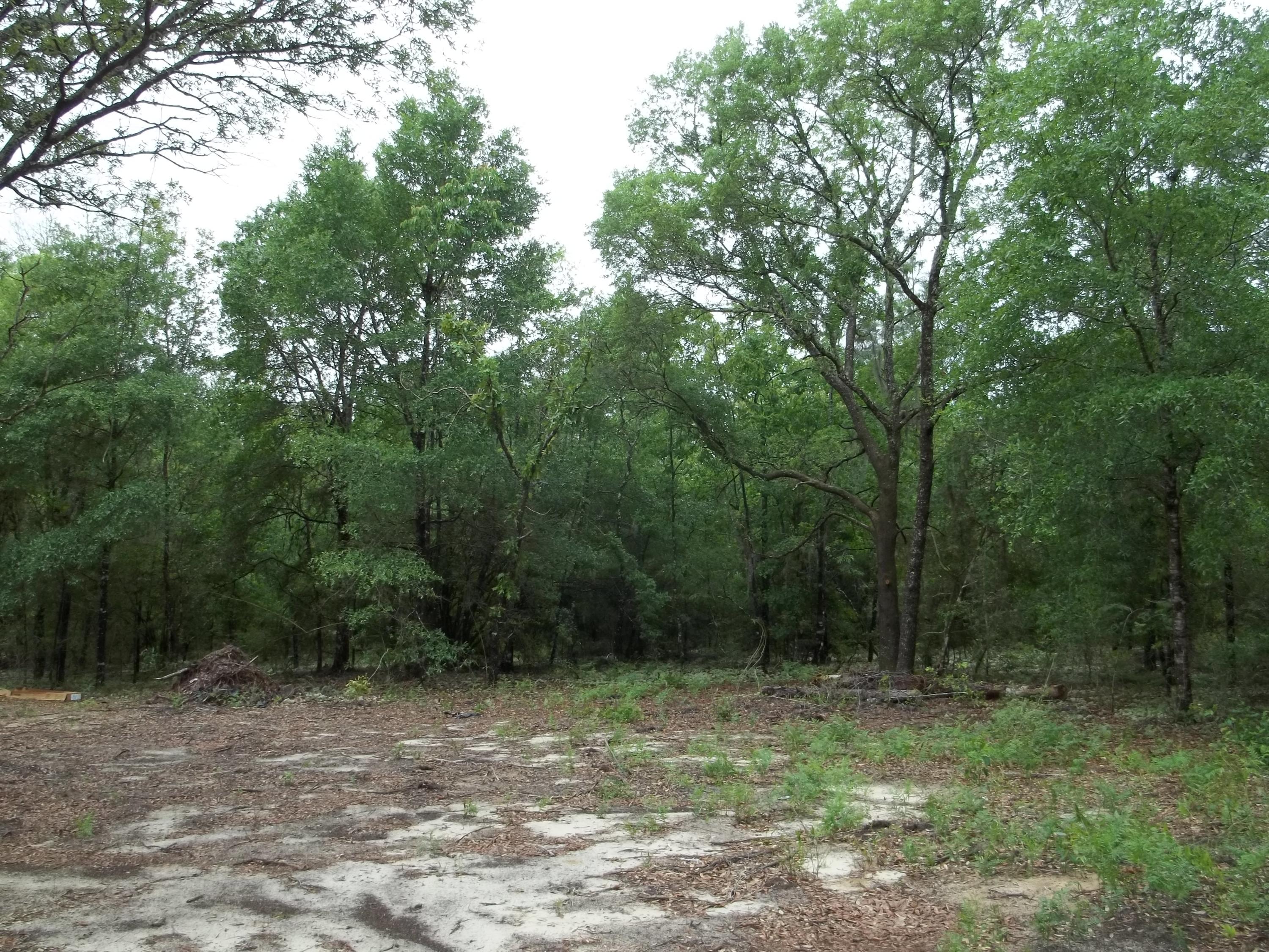 Juniper Lake Unit 6 - Residential