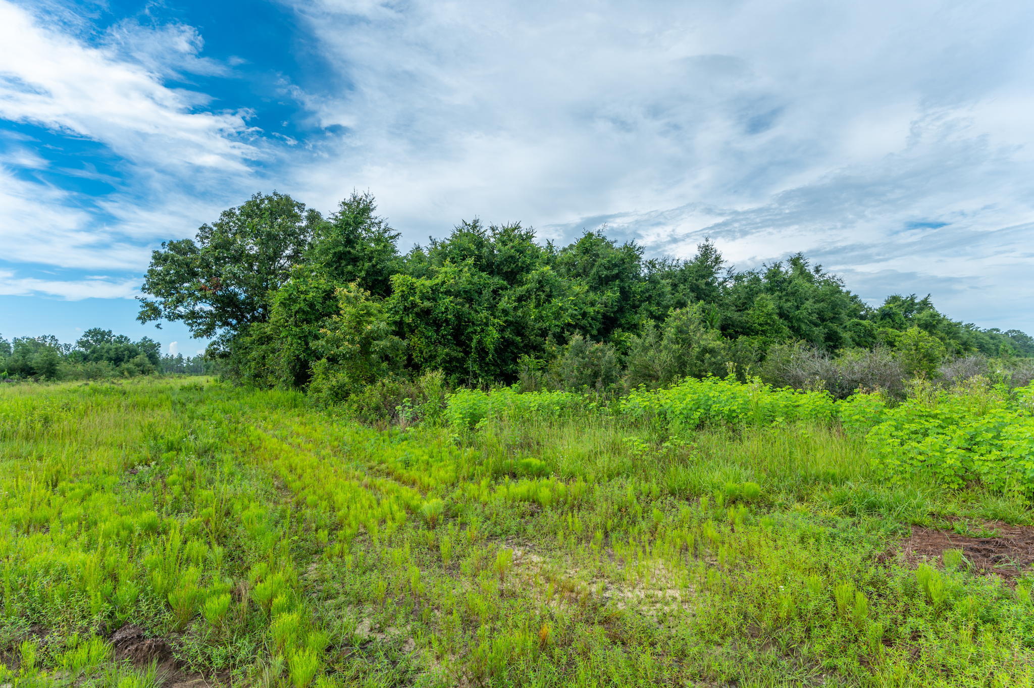 Farming Enthusiasts Welcome! Bring build plans. Don't forget your hunting gear and your ATVS!! This Property has so many wonderful aspects to it, with limited covenants and restrictions! Enjoy mini farming, or relaxing on your front porch gazing at the gorgeous Oak trees. Located in North Baker, within distance of the Baker School, Local Shopping and Beaches!