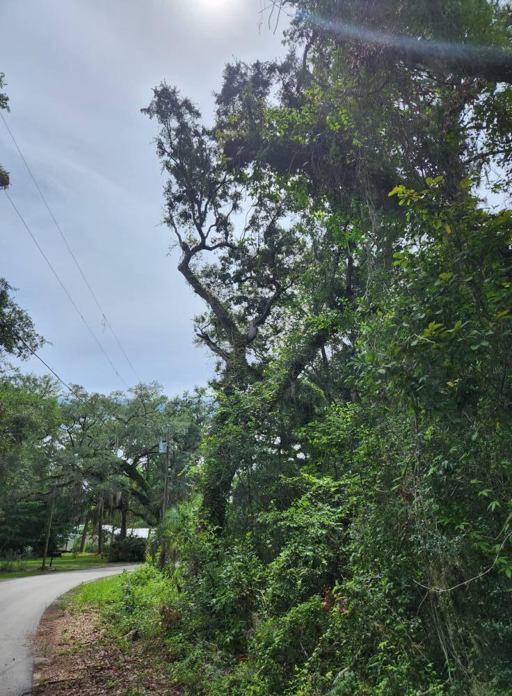 Beautiful large wooded lot with a water view!!! Lovely Subdivision has established homes and this lot would be perfect for your dream home. Some great trees on the property and you get to choose what needs to stay or go.