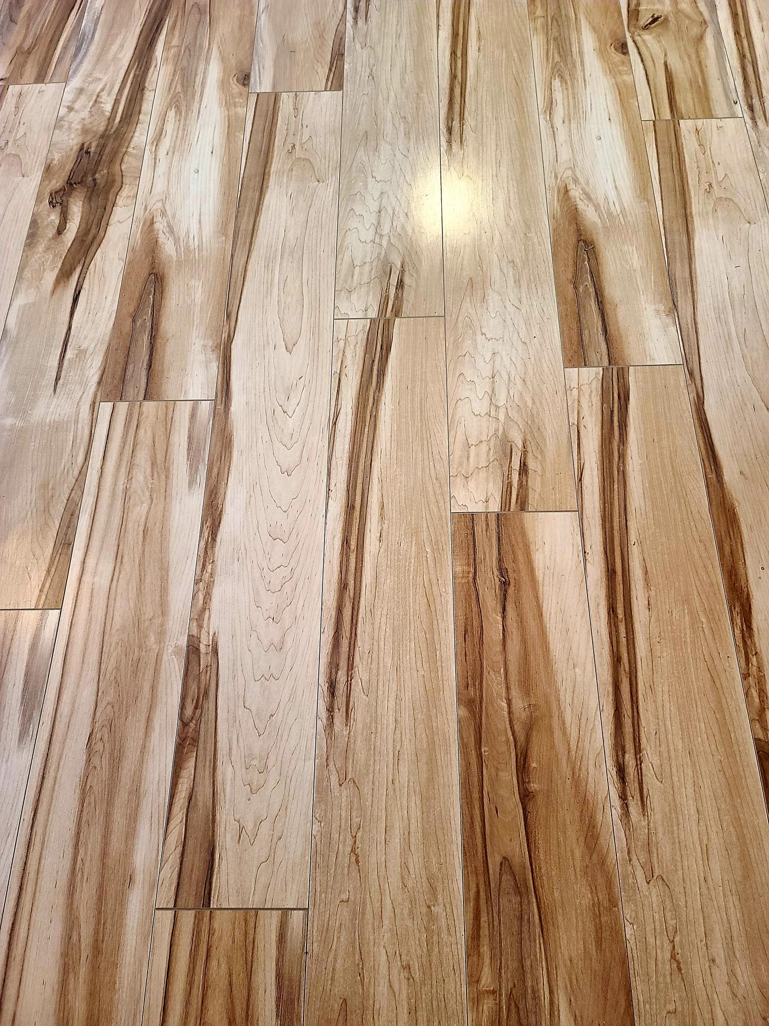 HOLLEY BY THE SEA - Residential