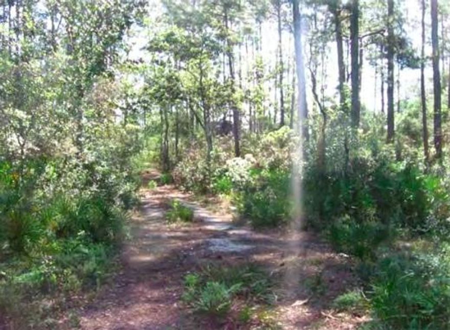 An amazing lot to build your home! Very large and very private.Beautifully wooded with a small creek at the rear of the property. Excellent location across from Eden State Park and a short drive to many restaurants, shopping and beaches of South Walton.