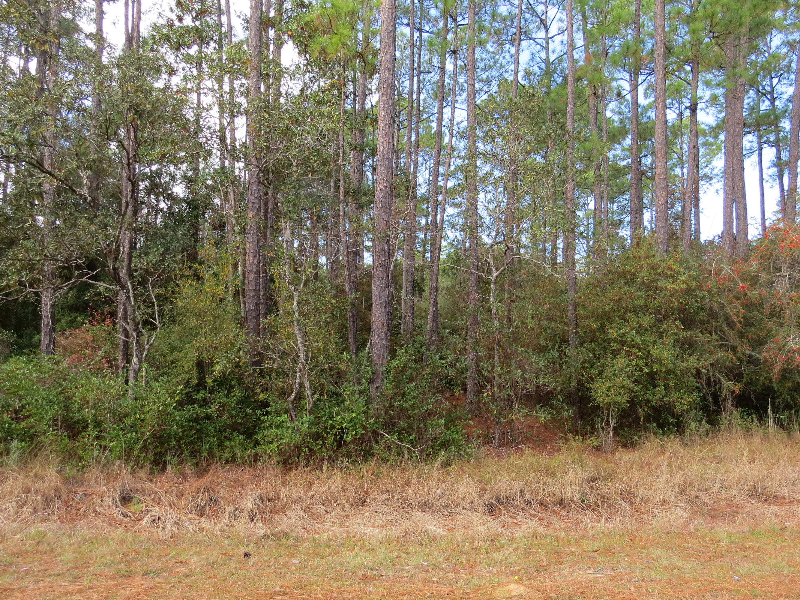 BAYOU CREEK ESTATES - Land